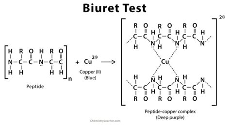 BIURET definition and meaning .